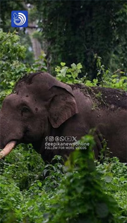 ദുരിതാശ്വാസനിധിയിലേക്ക് 13,922 കോടി വേണം; ധന കമ്മീഷനോട് കേരളം